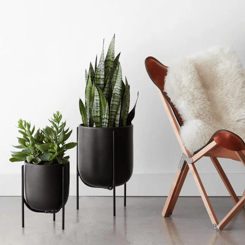 Cantaro Pots - Multiple Sizes